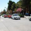 Montevago 2010 (304)